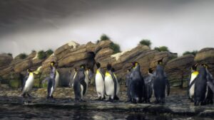 Penguins